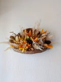 Coquillage Céleste